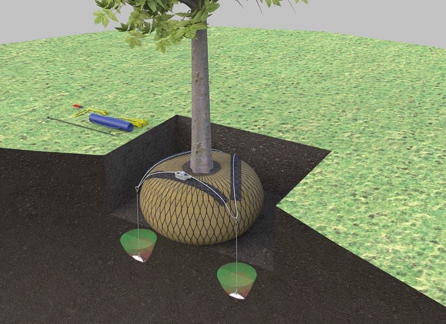 Kotvení stromů pomocí zemních kotev